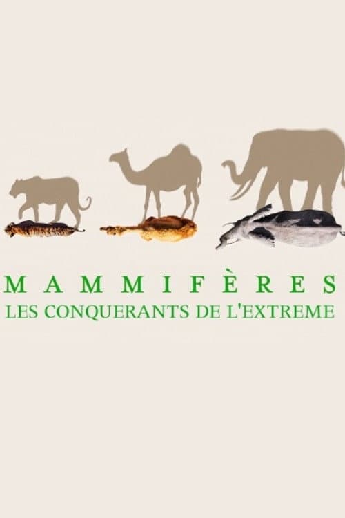 Poster di Mammifères, les conquérants de l'extrême