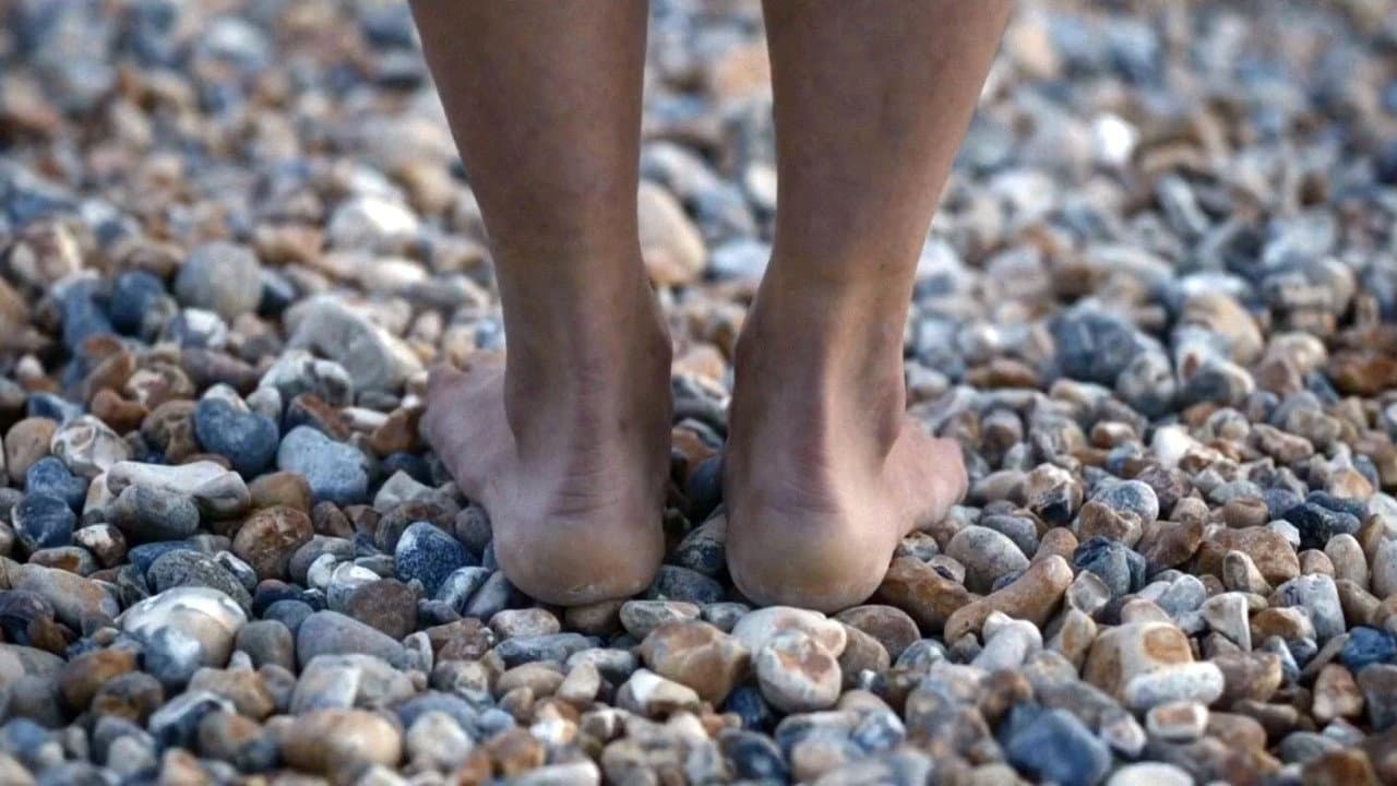 Body of Water - immagine