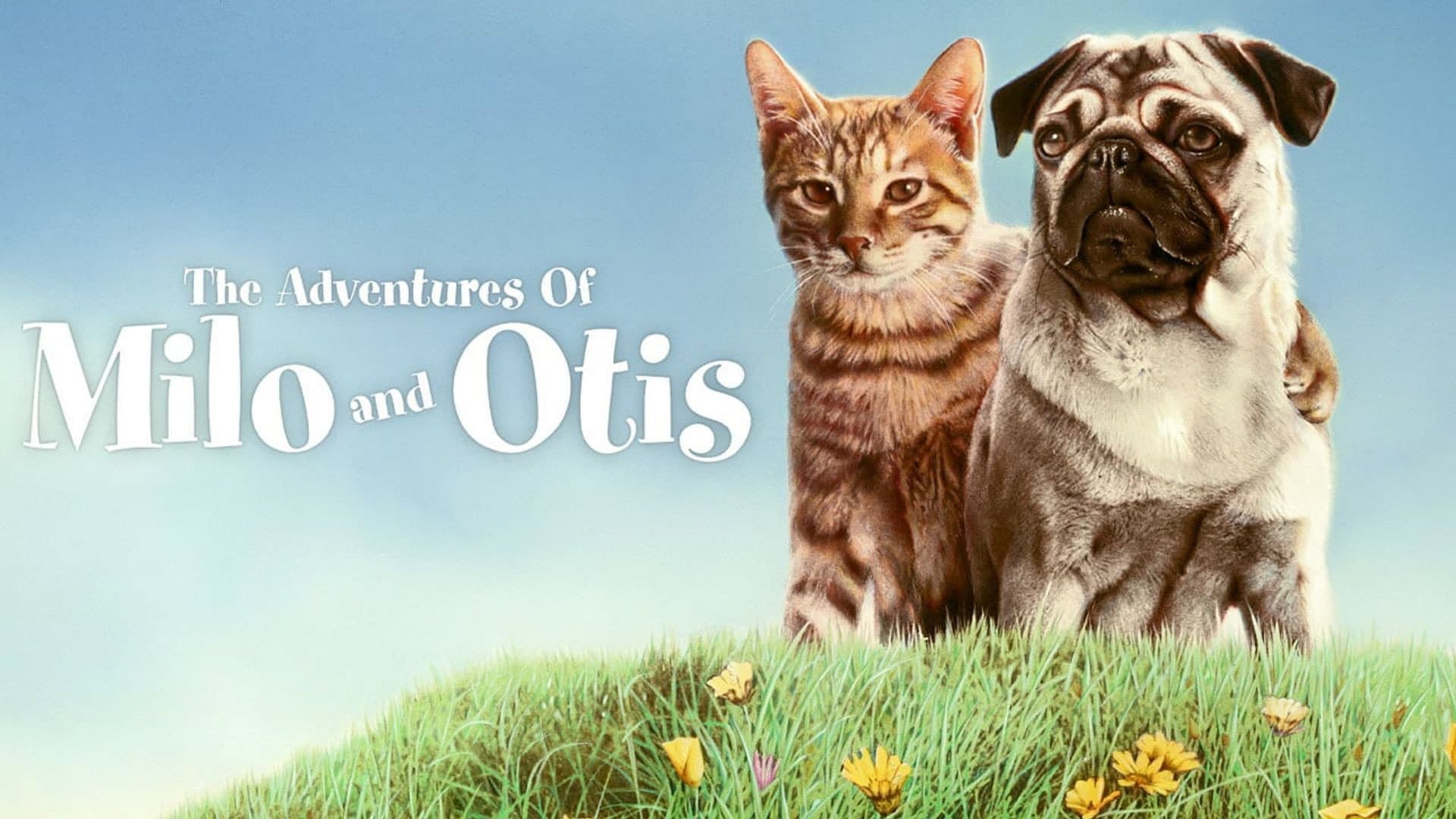 Le avventure di Milo e Otis - immagine