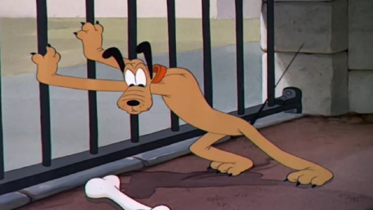 Pluto allo zoo - immagine
