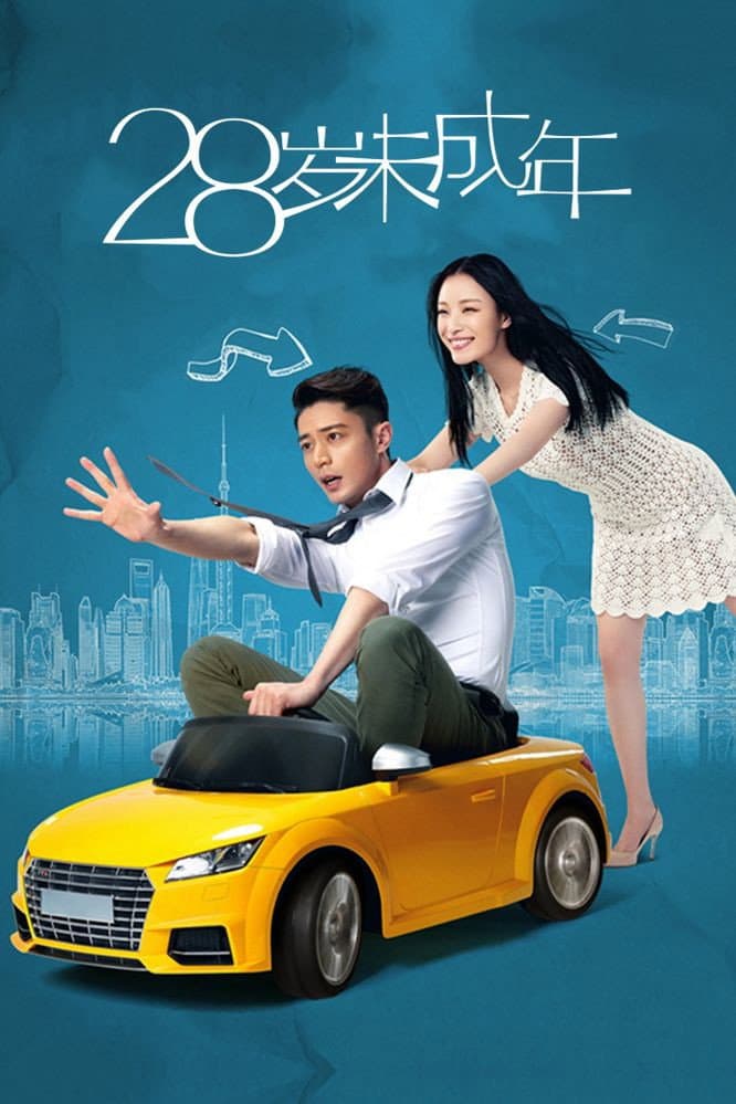 Poster di 28岁未成年