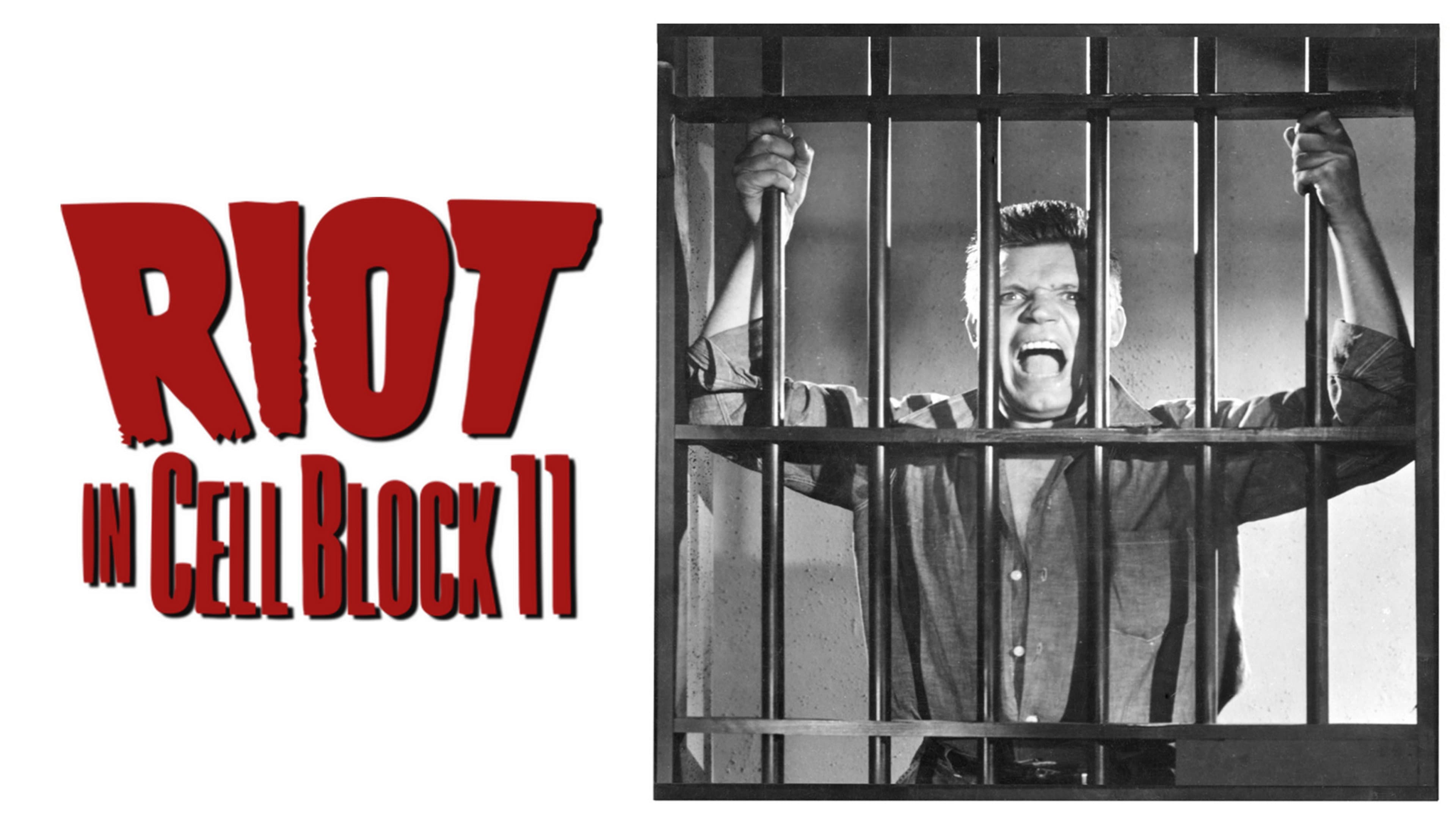 Rivolta al blocco 11 - immagine