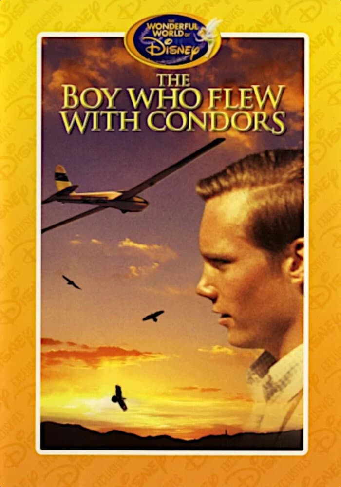Poster di The Boy Who Flew with Condors