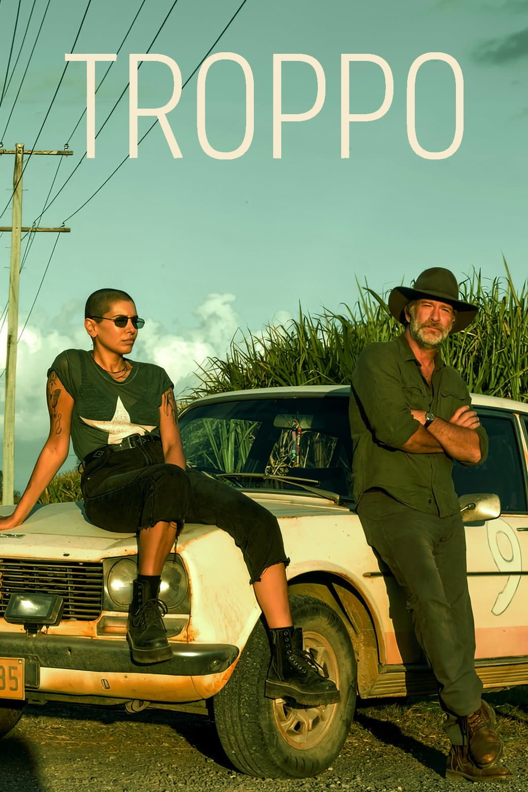 Poster di Troppo