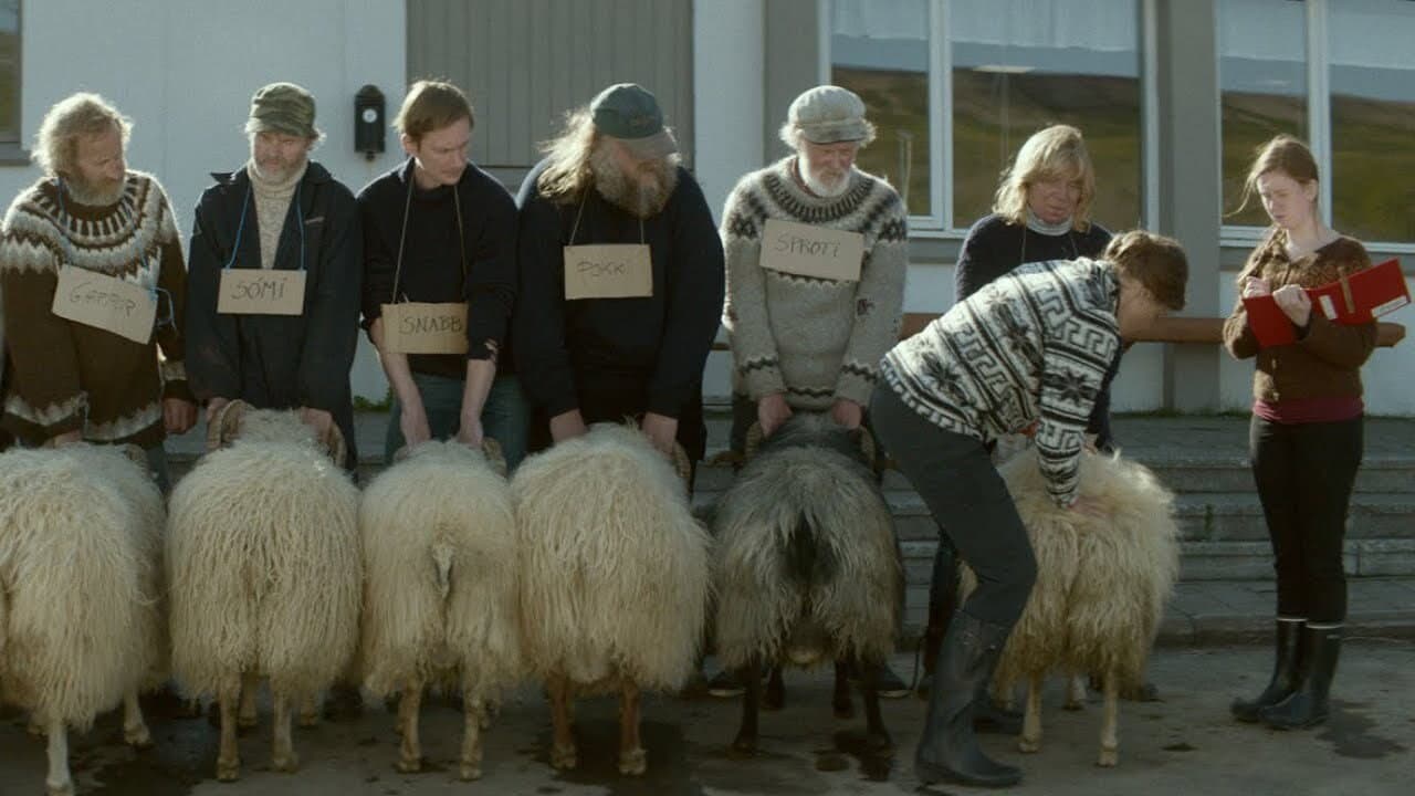 Rams - immagine