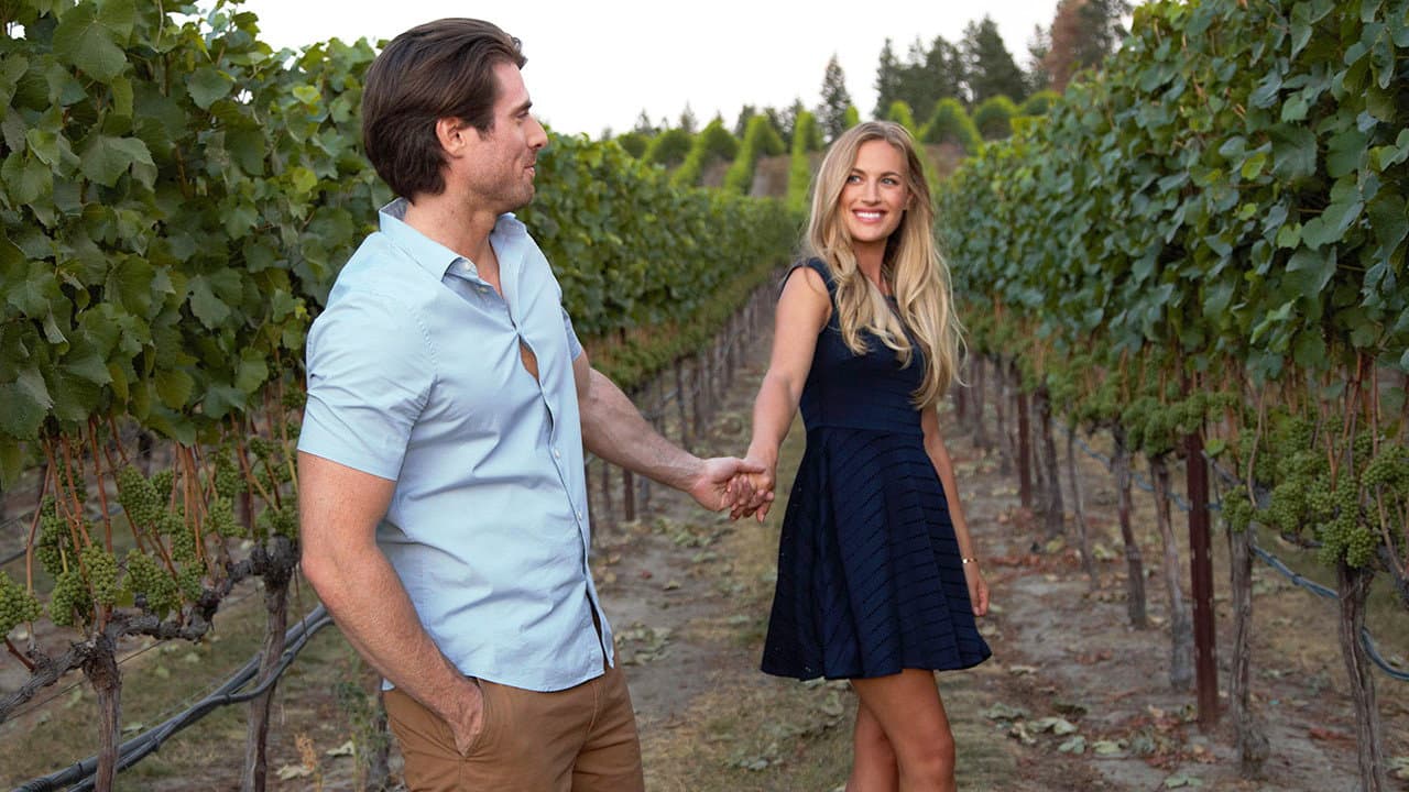 Amore tra le vigne - immagine