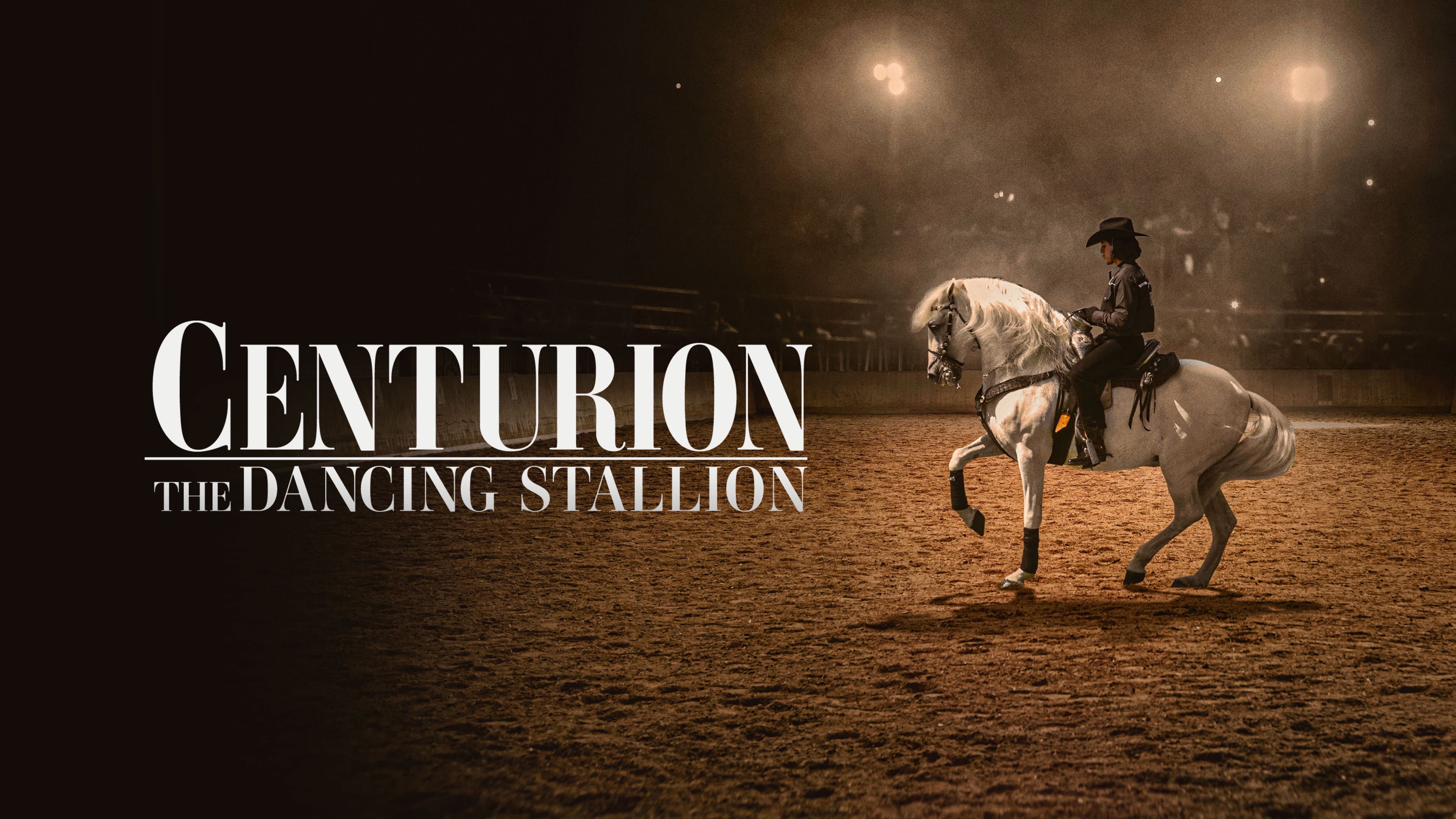 Centurion: Uniti per vincere - immagine