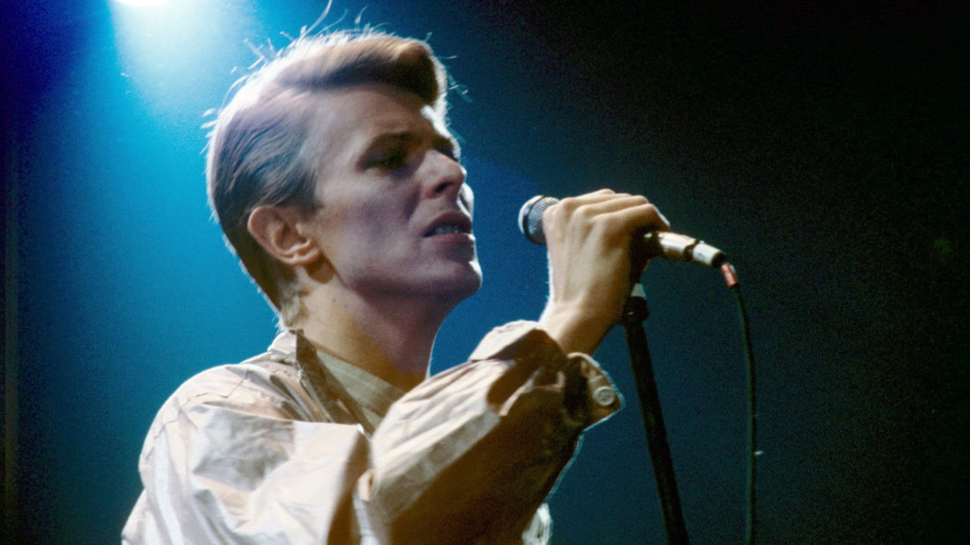 Bowie: The Final Act - immagine