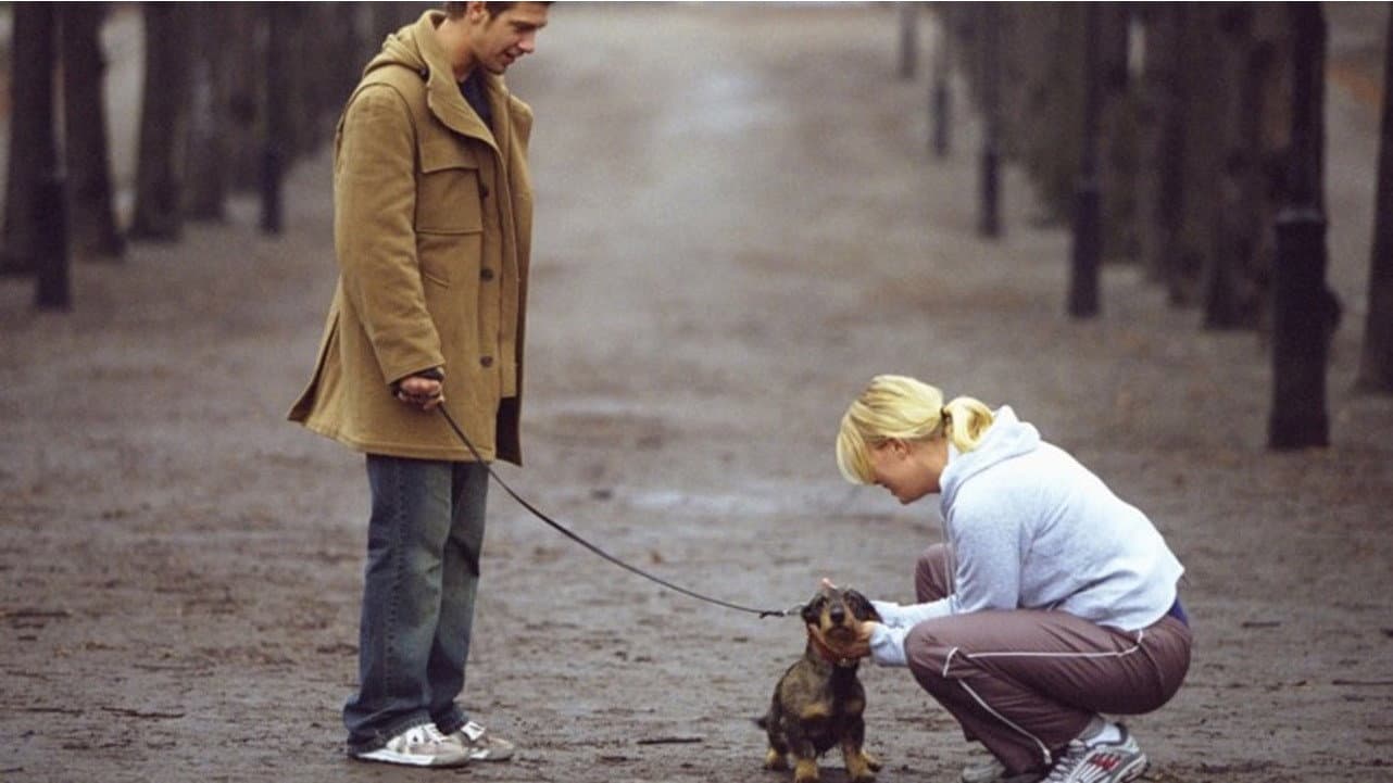 Hundtricket - The Movie - immagine