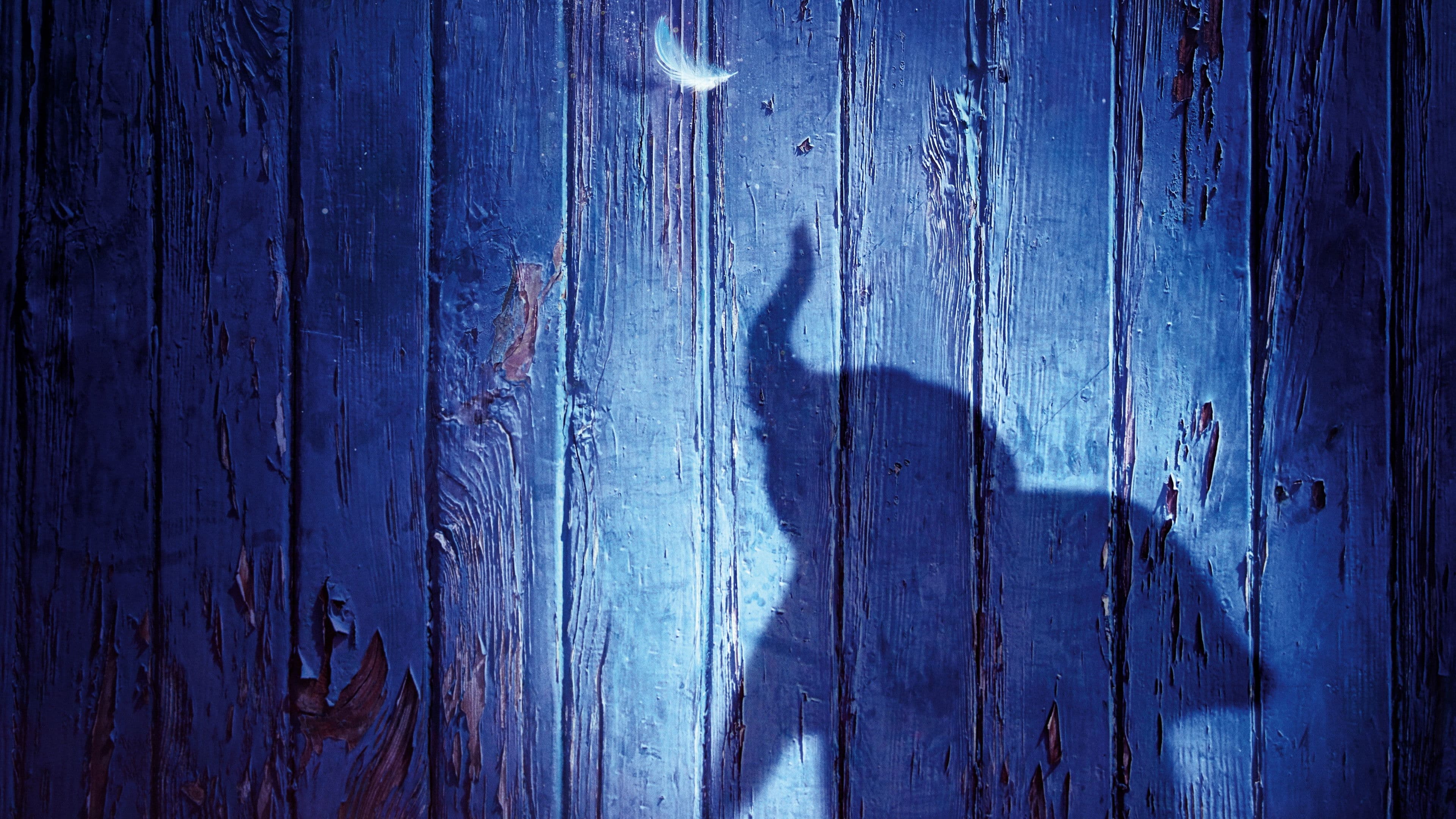 Dumbo - immagine