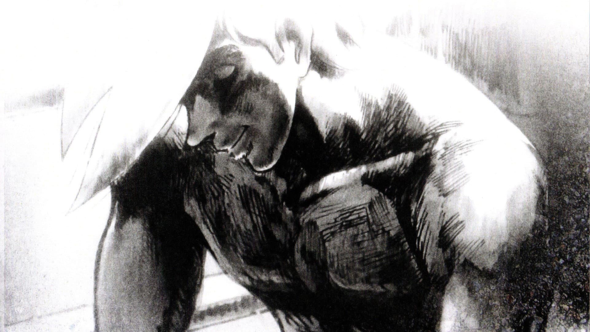 Rocky Joe: L'ultimo round - immagine