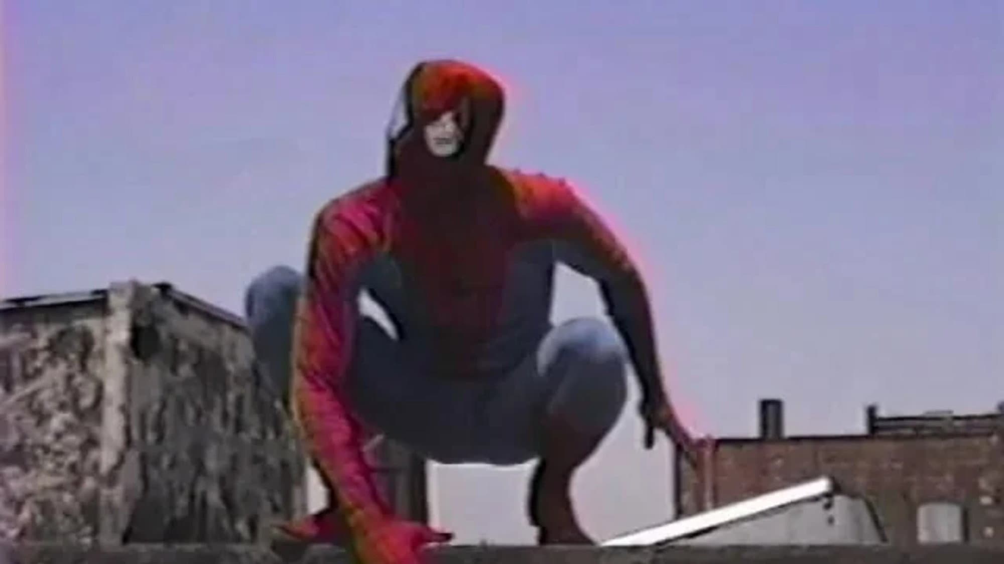 The Green Goblin's Last Stand - immagine