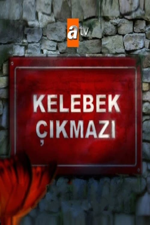 Poster di Kelebek Çıkmazı
