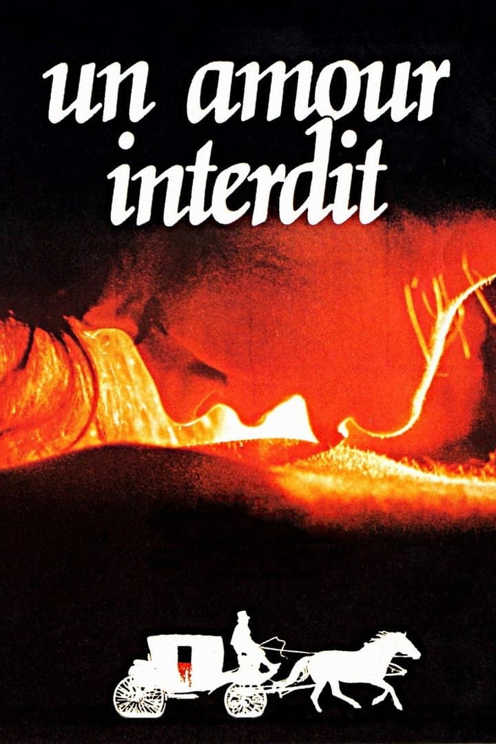 Poster di Un amour interdit