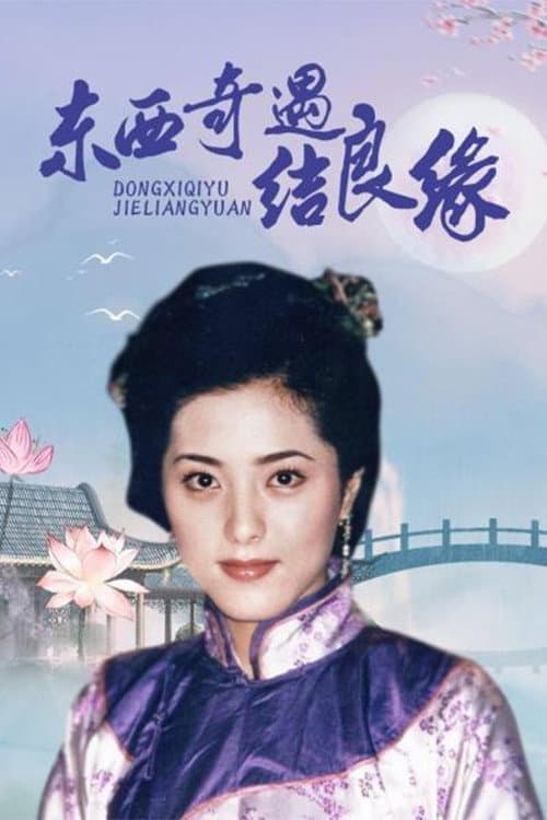 Poster di 东西奇遇结良缘
