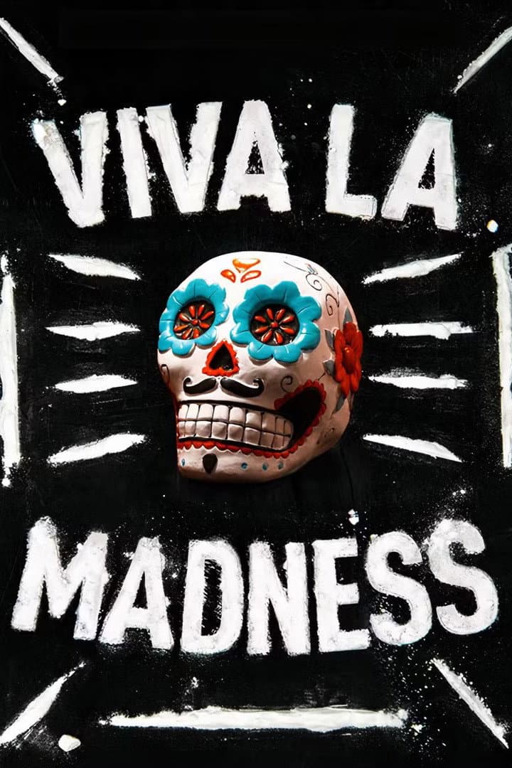 Poster di Viva La Madness
