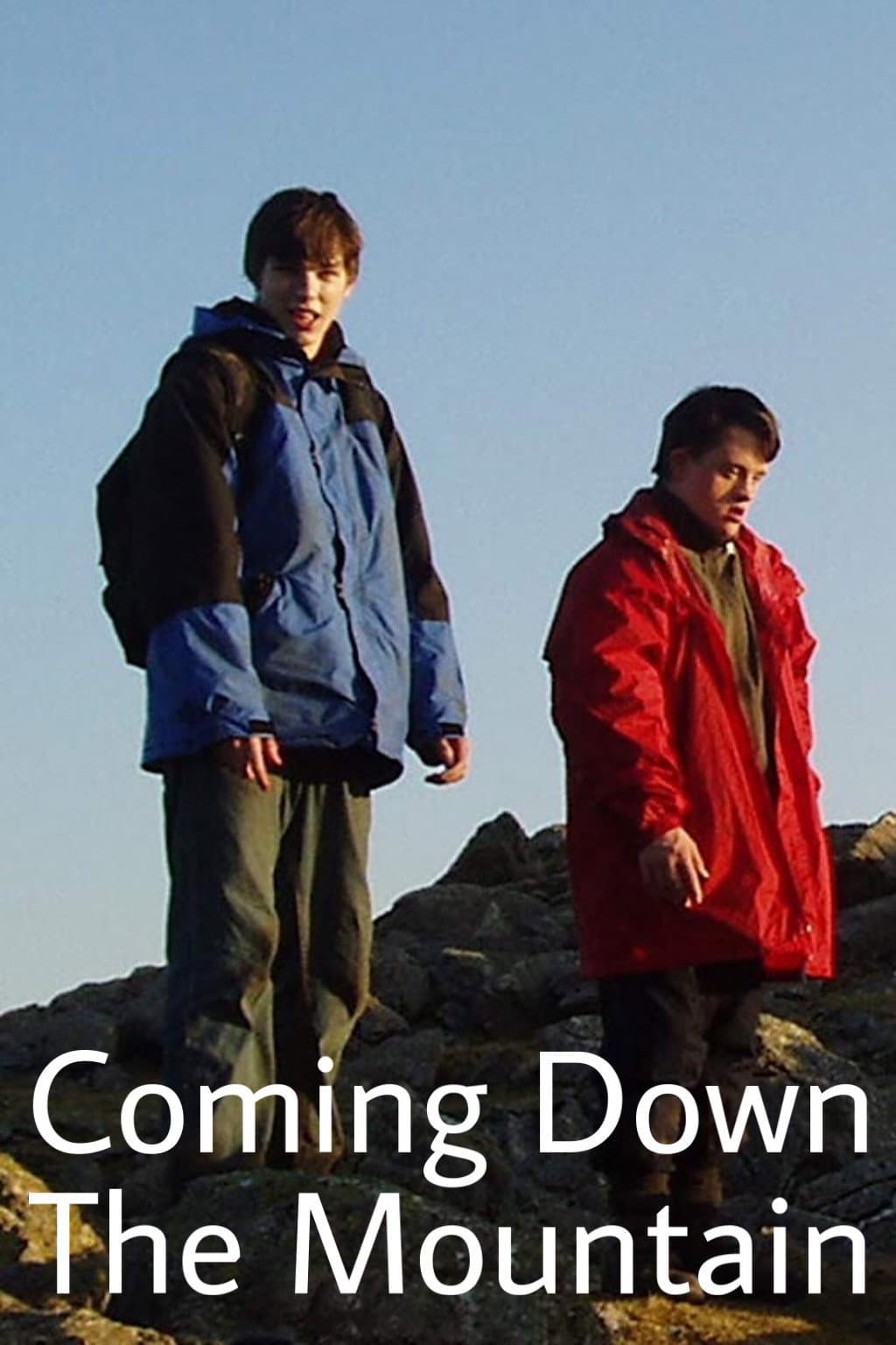 Poster di Coming Down the Mountain