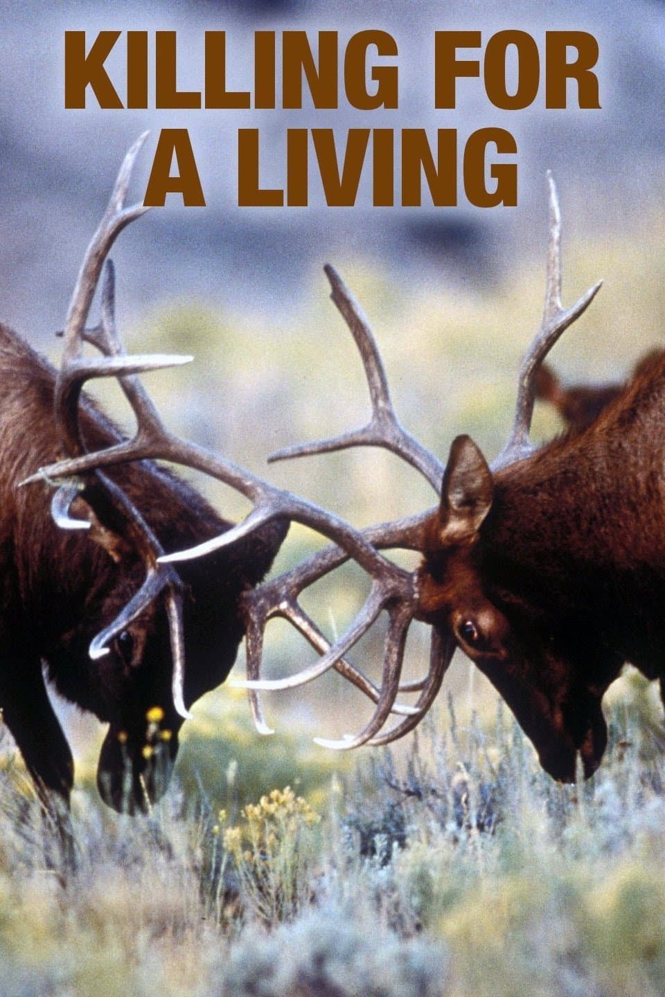 Poster di Predators Killing for a Living