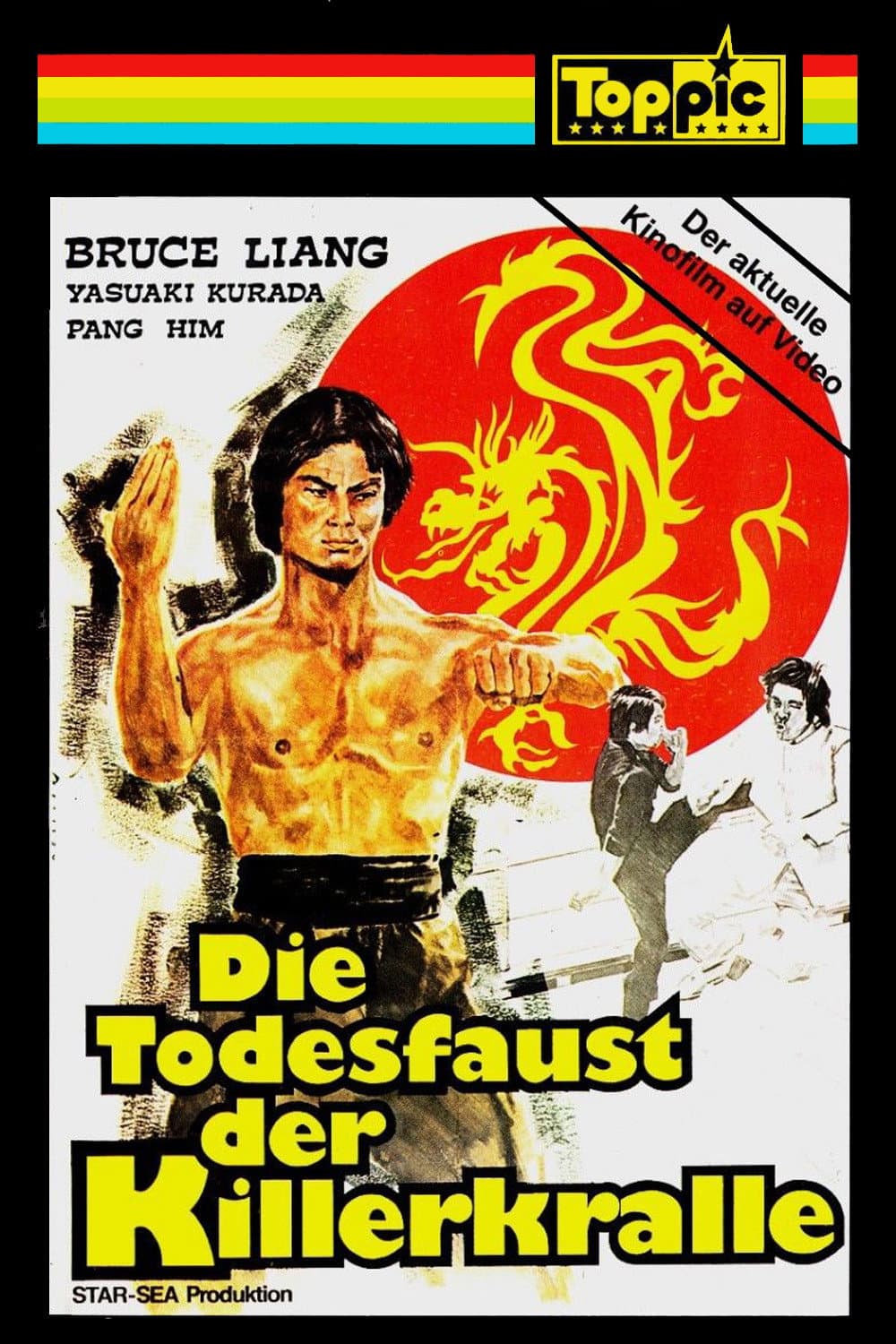 Poster di 神拳飛龍