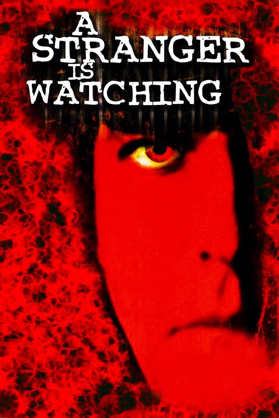 Poster di A Stranger Is Watching