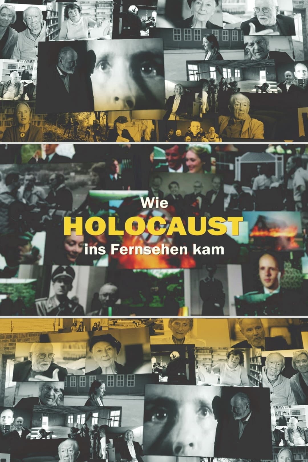 Poster di Wie Holocaust ins Fernsehen kam