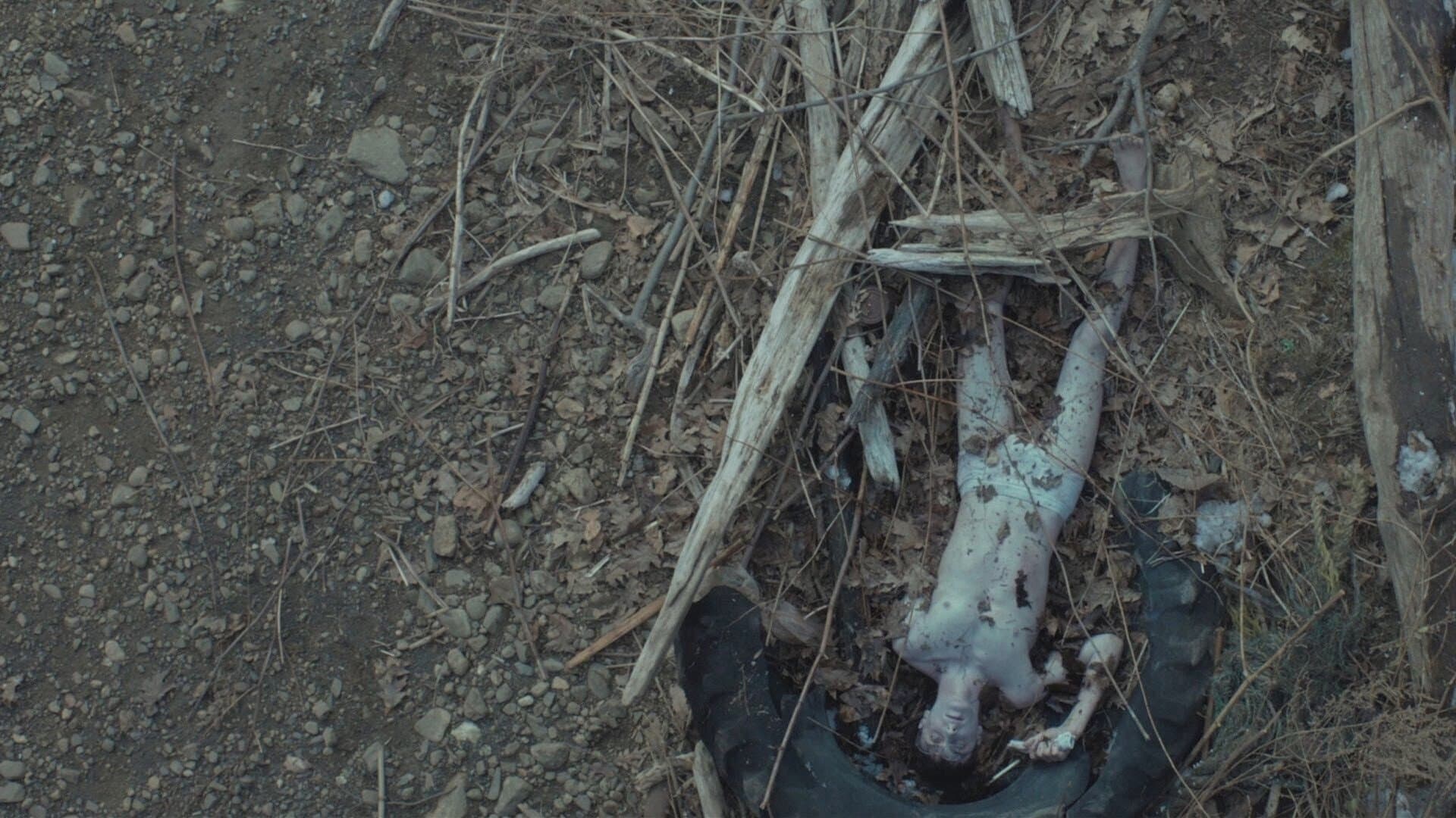 Jamie Marks Is Dead - immagine