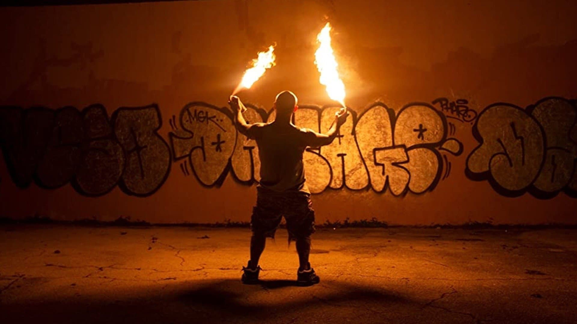 Vandal - immagine