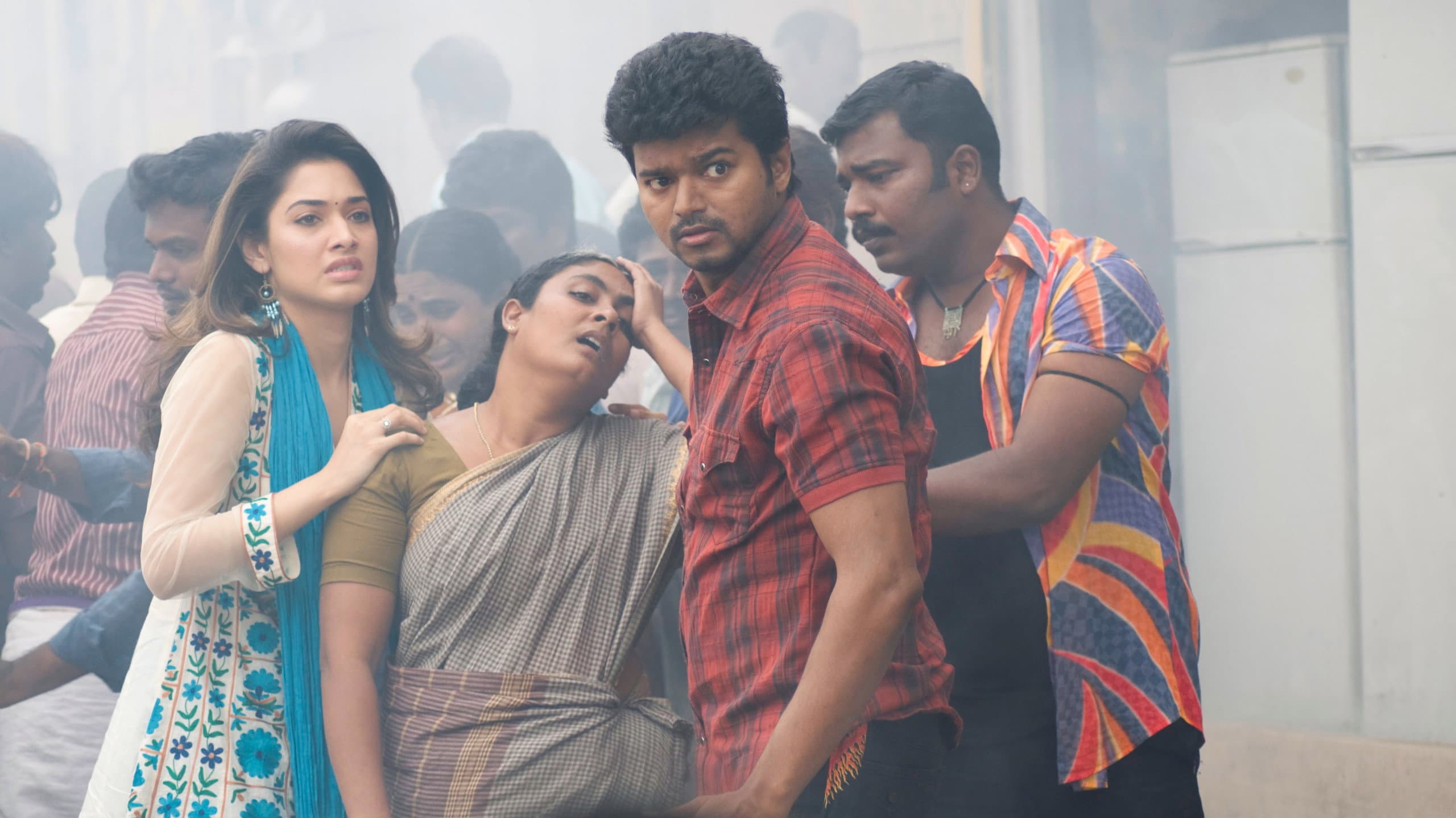 சுறா - immagine