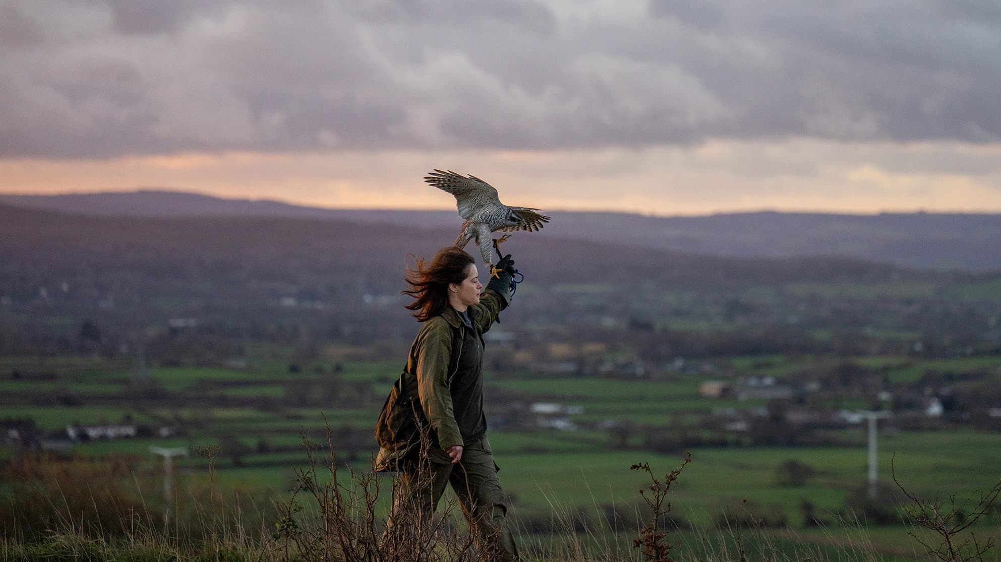 H Is for Hawk - immagine