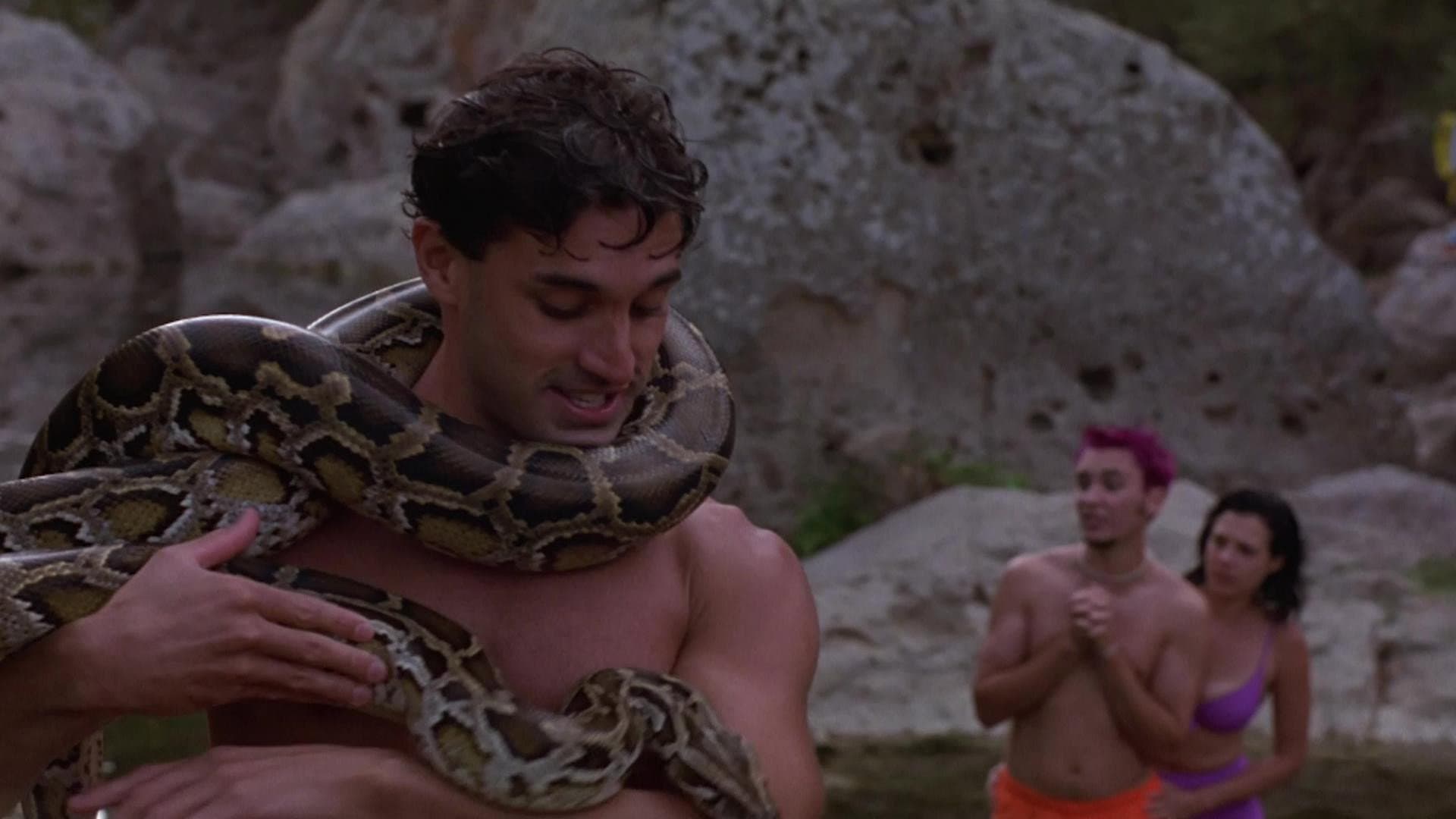 Python - Spirali di paura - immagine