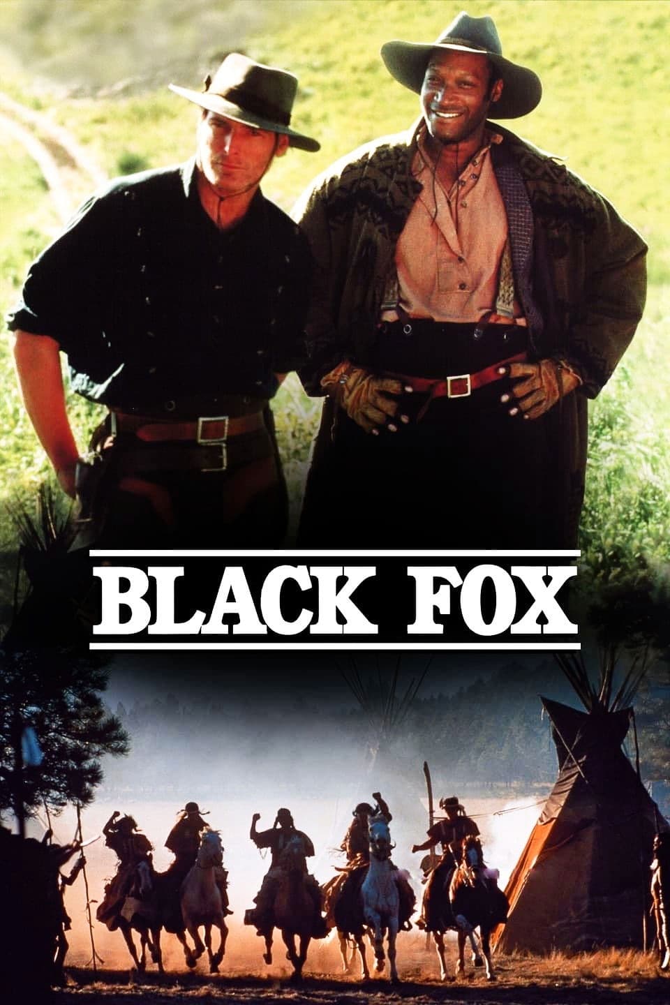 Poster di Black Fox
