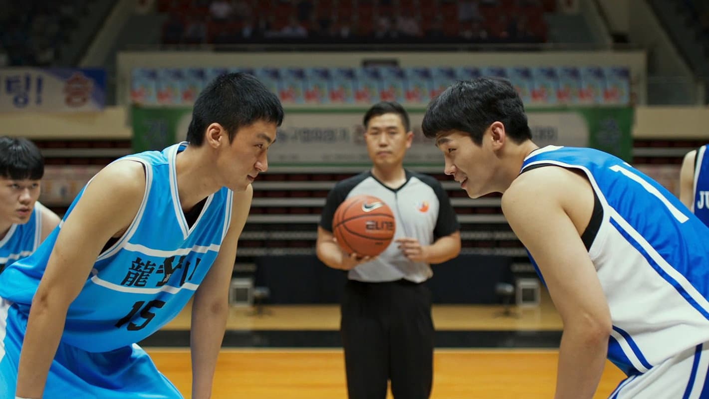 Rebound - immagine
