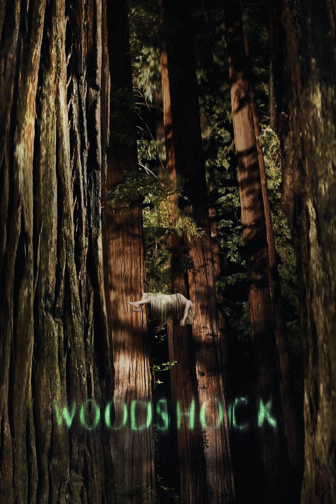 Poster di Woodshock