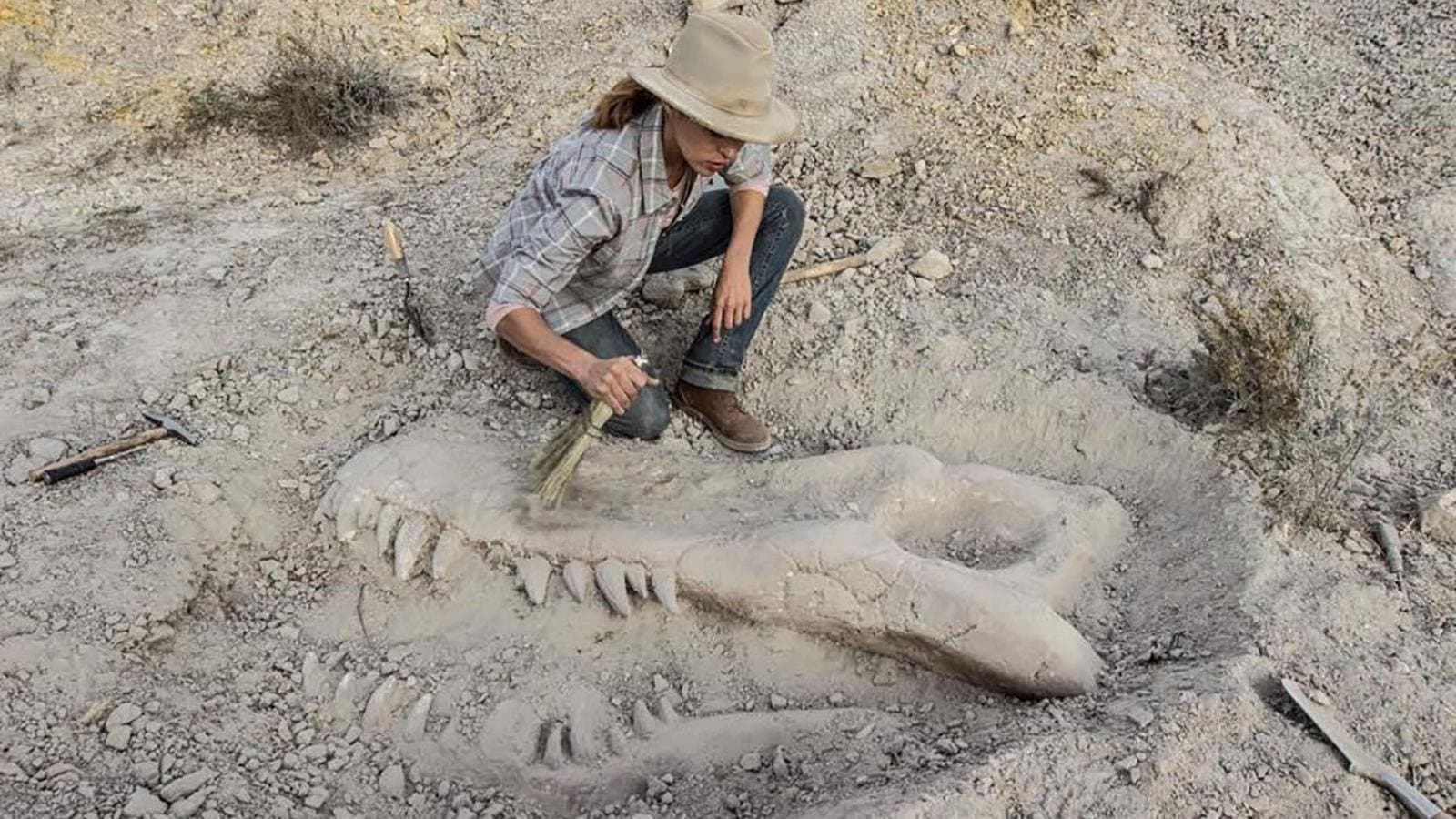 Valley of Bones - immagine