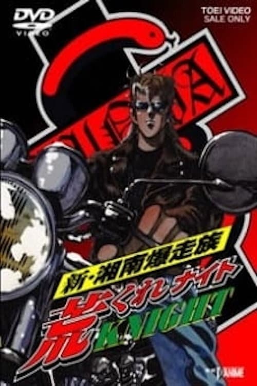 Poster di 新・湘南爆走族 荒くれKNIGHT