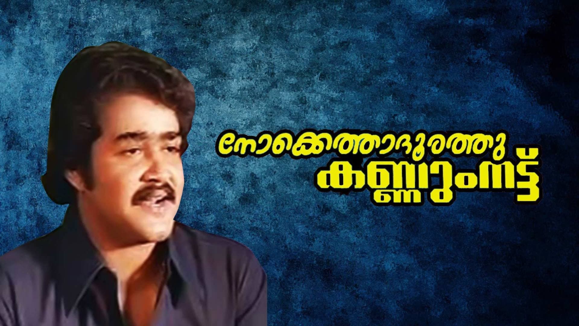 നോക്കെത്താദൂരത്തു കണ്ണുംനട്ട് - immagine
