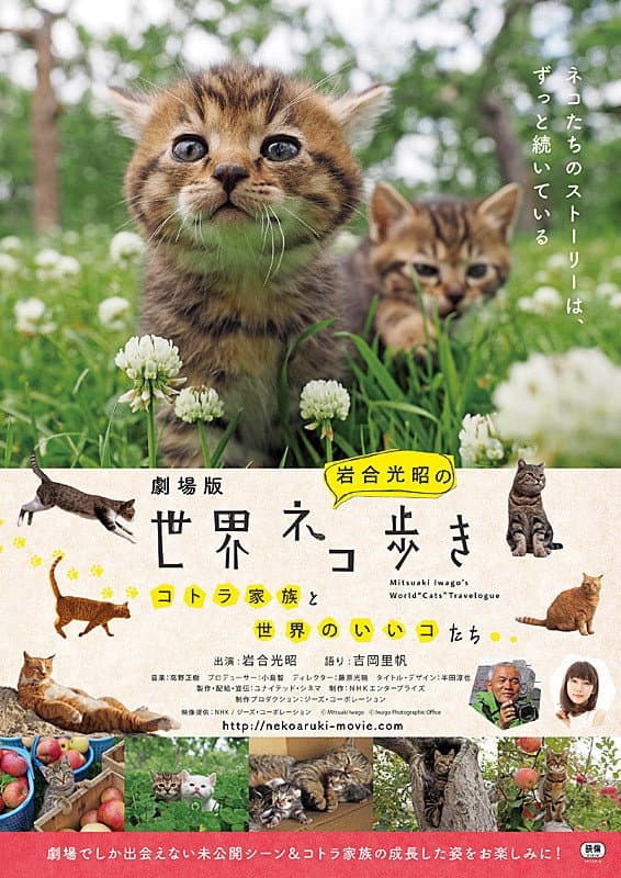 Poster di 劇場版 岩合光昭の世界ネコ歩き コトラ家族と世界のいいコたち