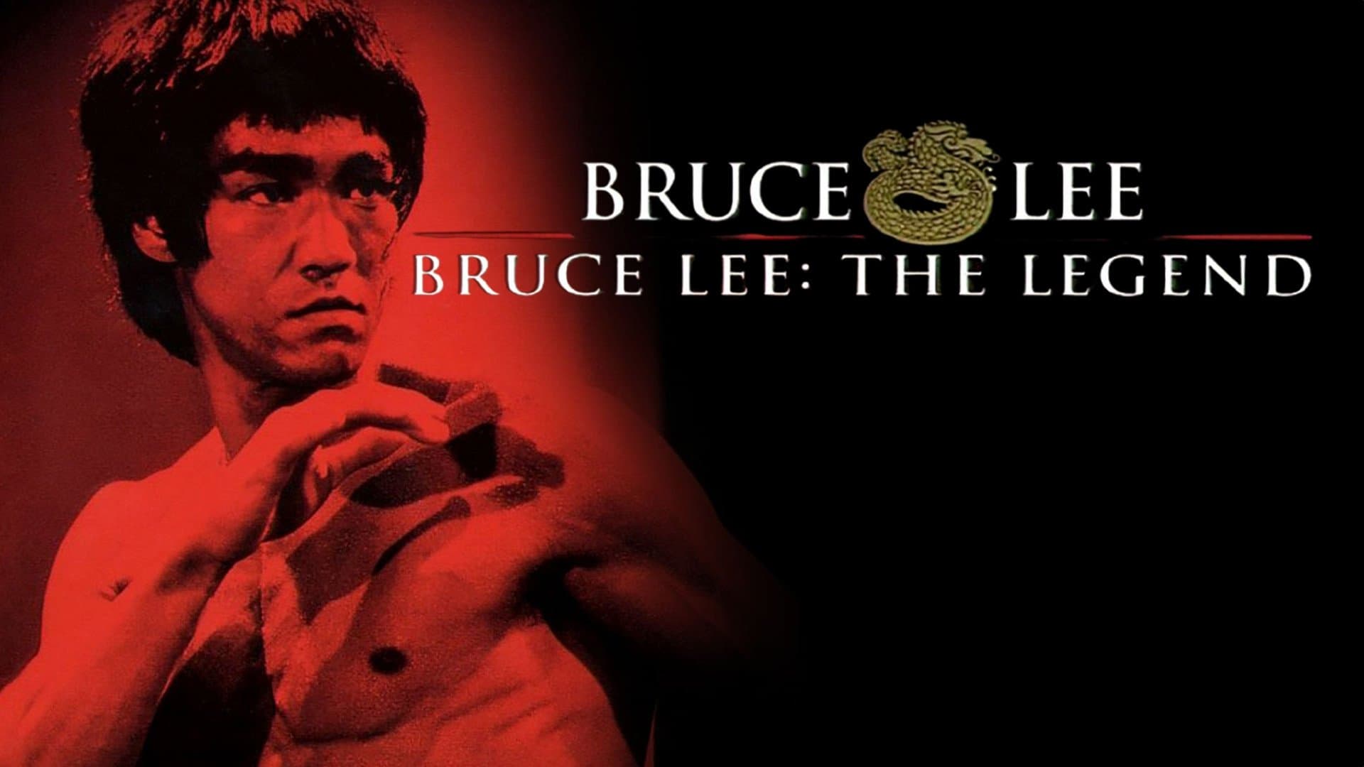 Bruce Lee: The Legend - immagine