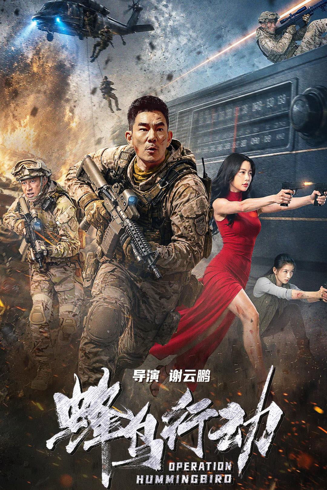 Poster di 蜂鸟行动