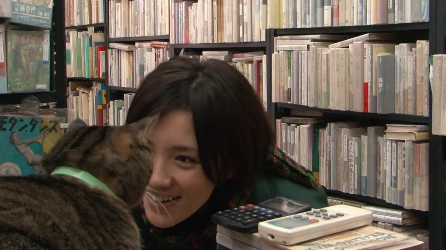私は猫ストーカー - immagine