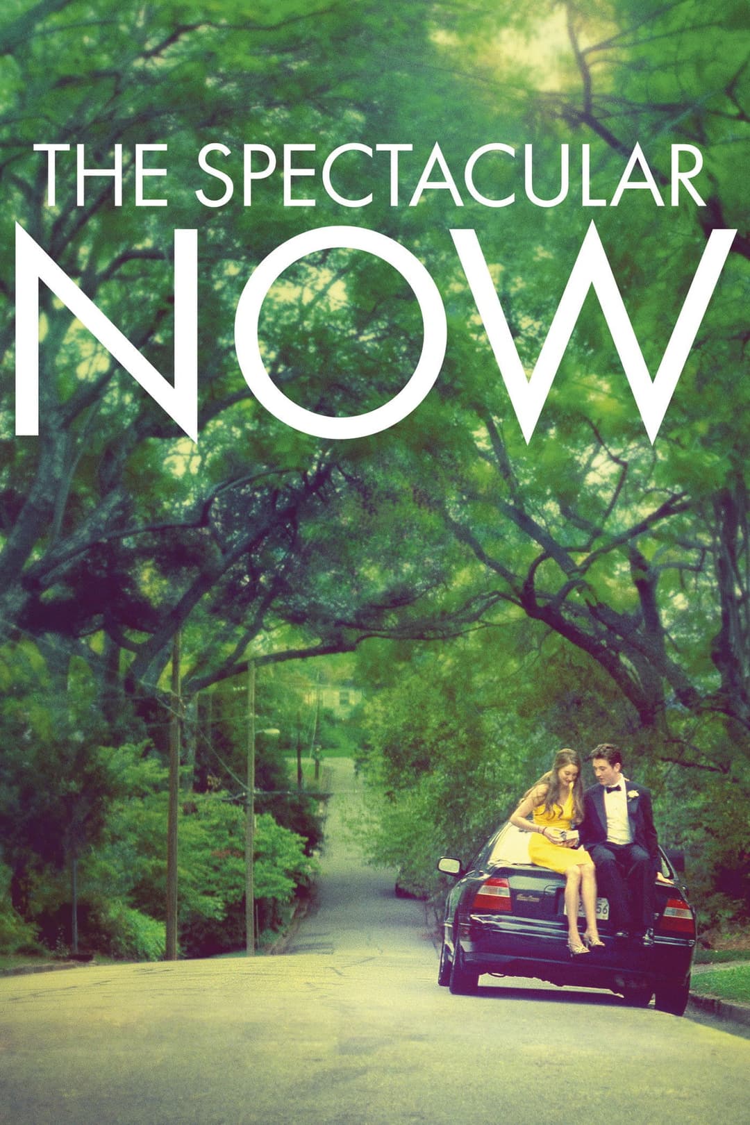Poster di The Spectacular Now