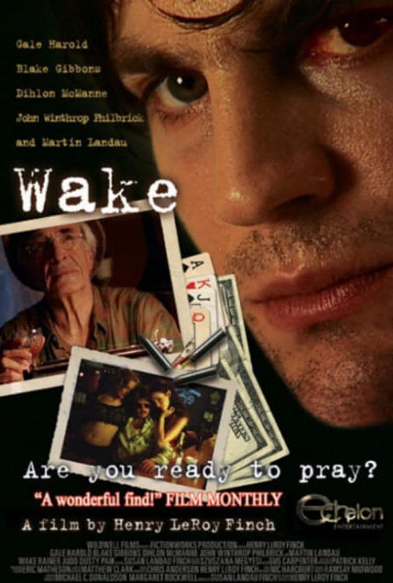 Poster di Wake