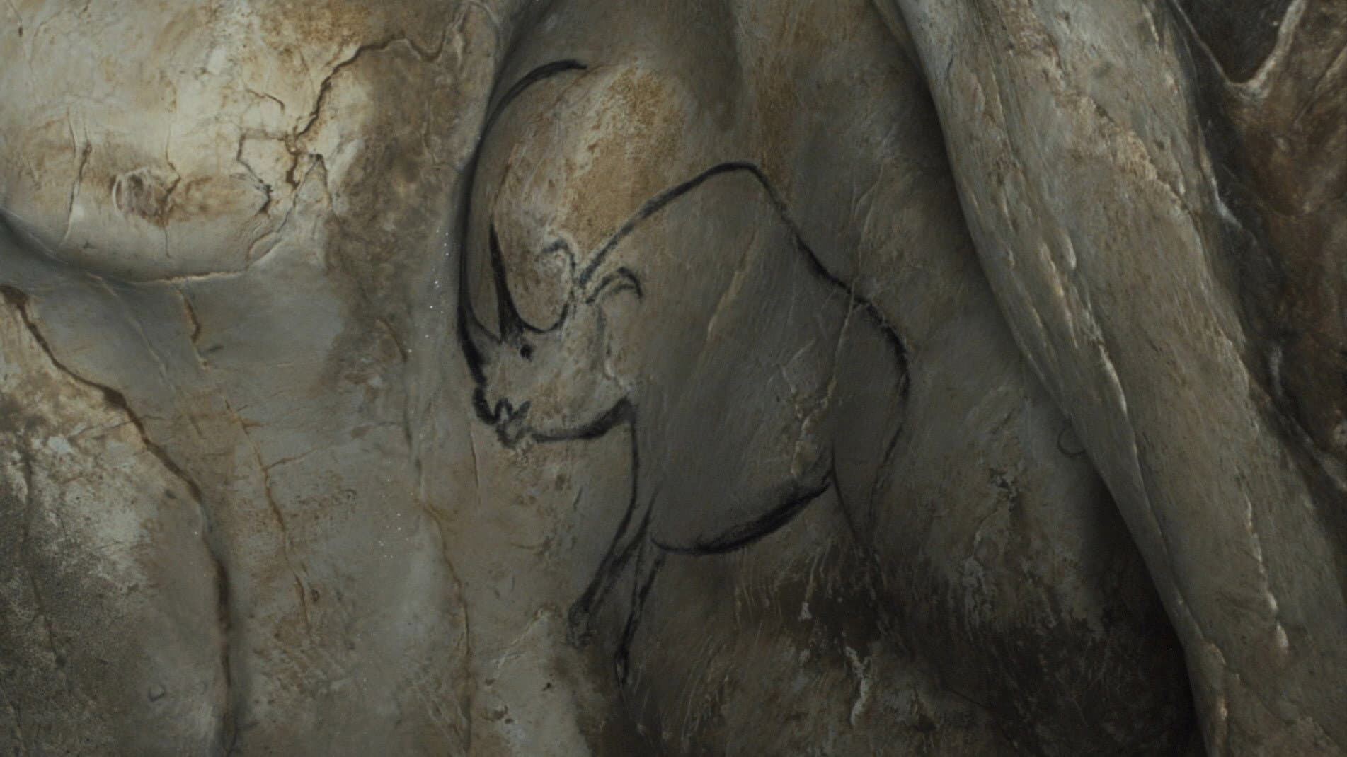 Cave Of Forgotten Dreams - immagine
