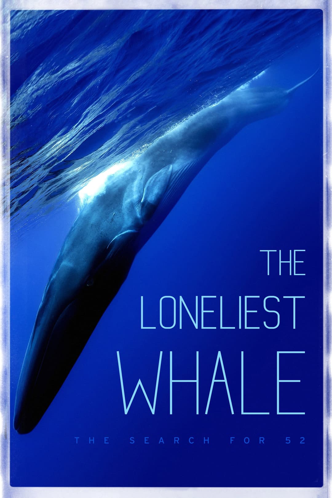 Poster di The Loneliest Whale: The Search for 52