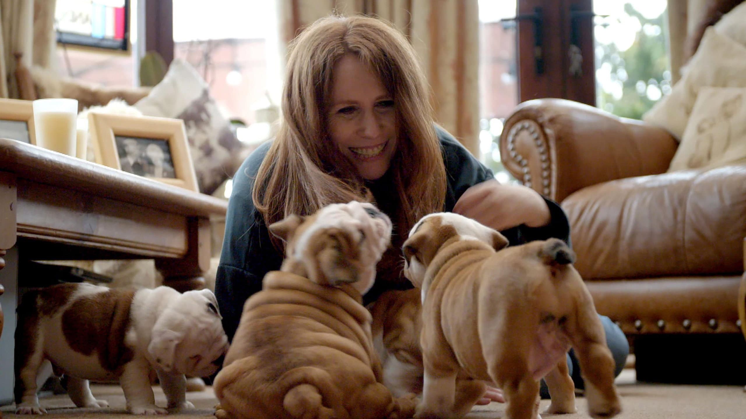 Saving the British Bulldog - immagine