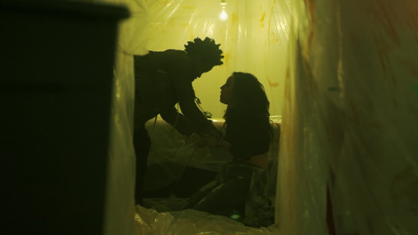 She Never Died - immagine