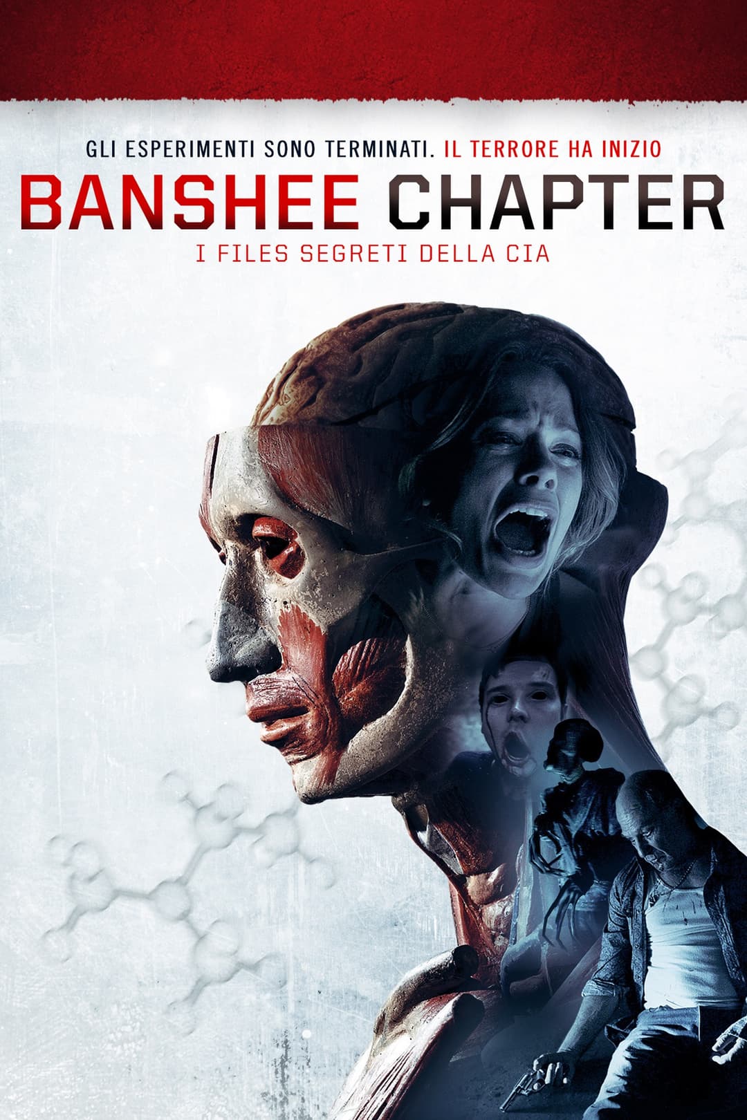 Poster di Banshee Chapter - I files segreti della Cia