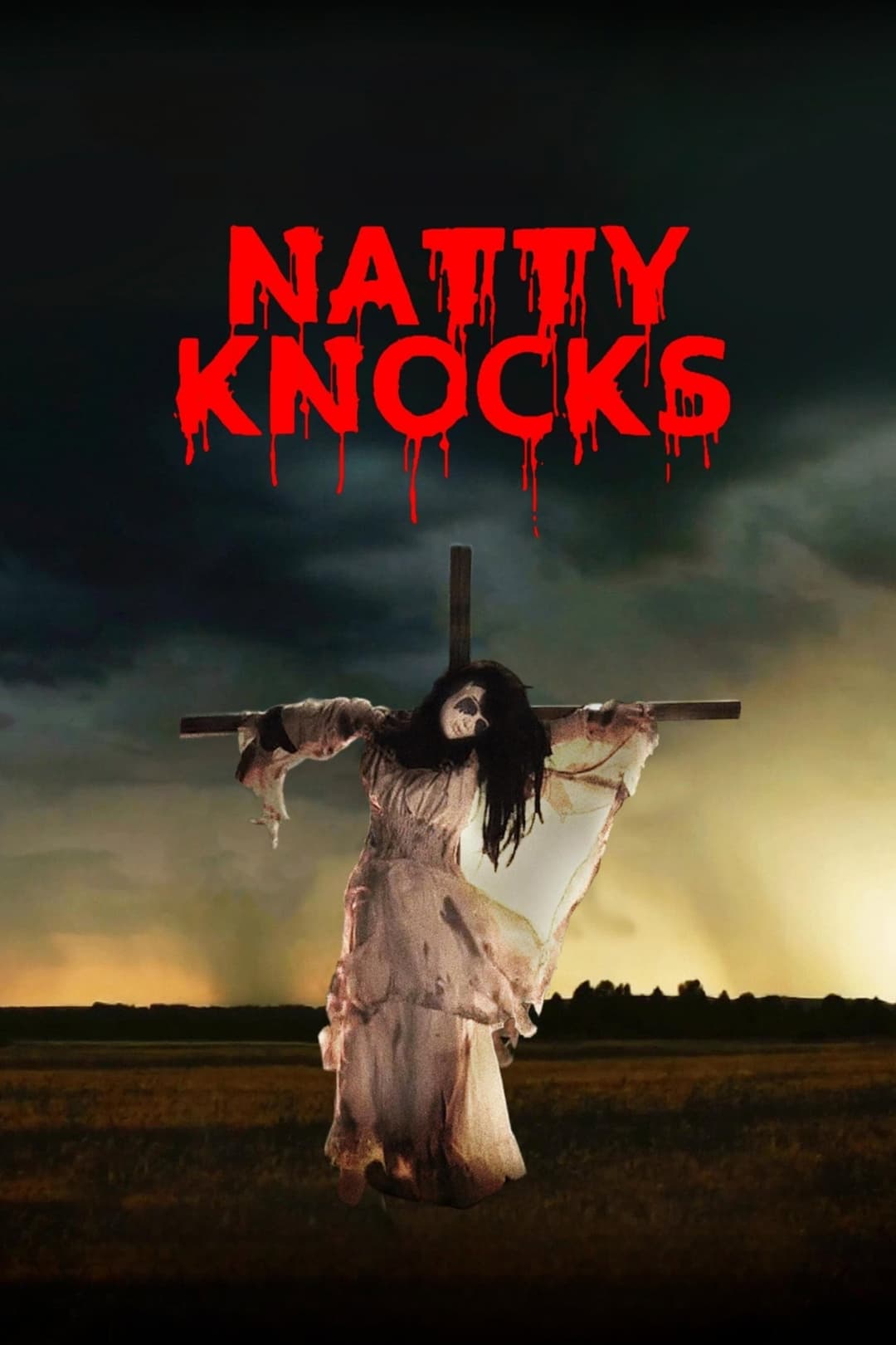 Poster di Natty Knocks