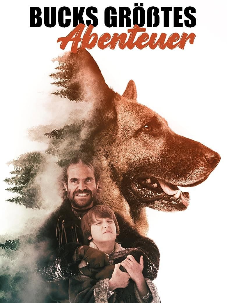 Poster di Buck ai confini del cielo
