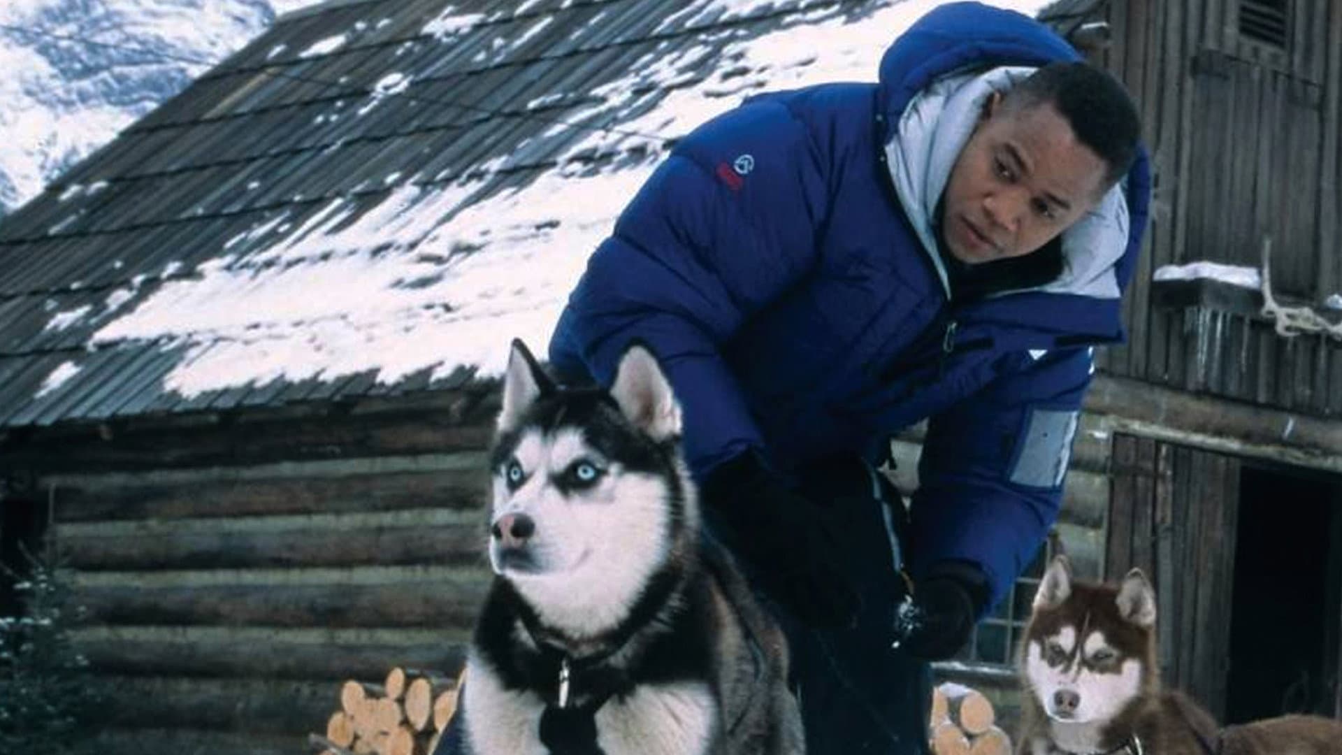 Snow Dogs - 8 cani sotto zero - immagine